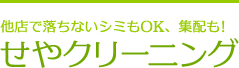 せやクリーニング